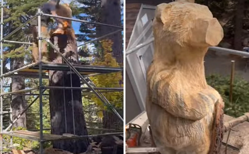 Το εντυπωσιακό time lapse… σκαλίσματος μιας αρκούδας!
