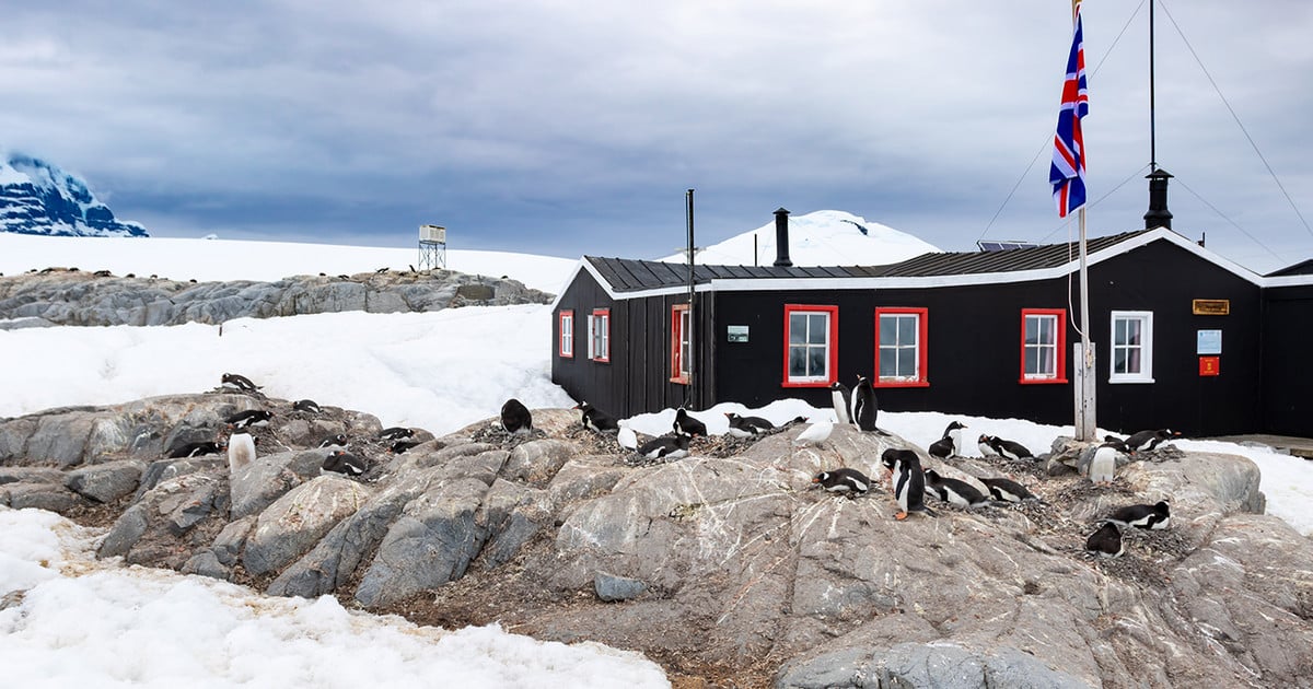 Το νοτιότερο ταχυδρομείο του κόσμου αναζητά εργαζόμενους για να… μετρούν πιγκουίνους